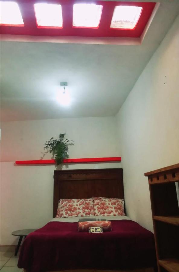 Home Sweet Home 瓜纳华托 外观 照片