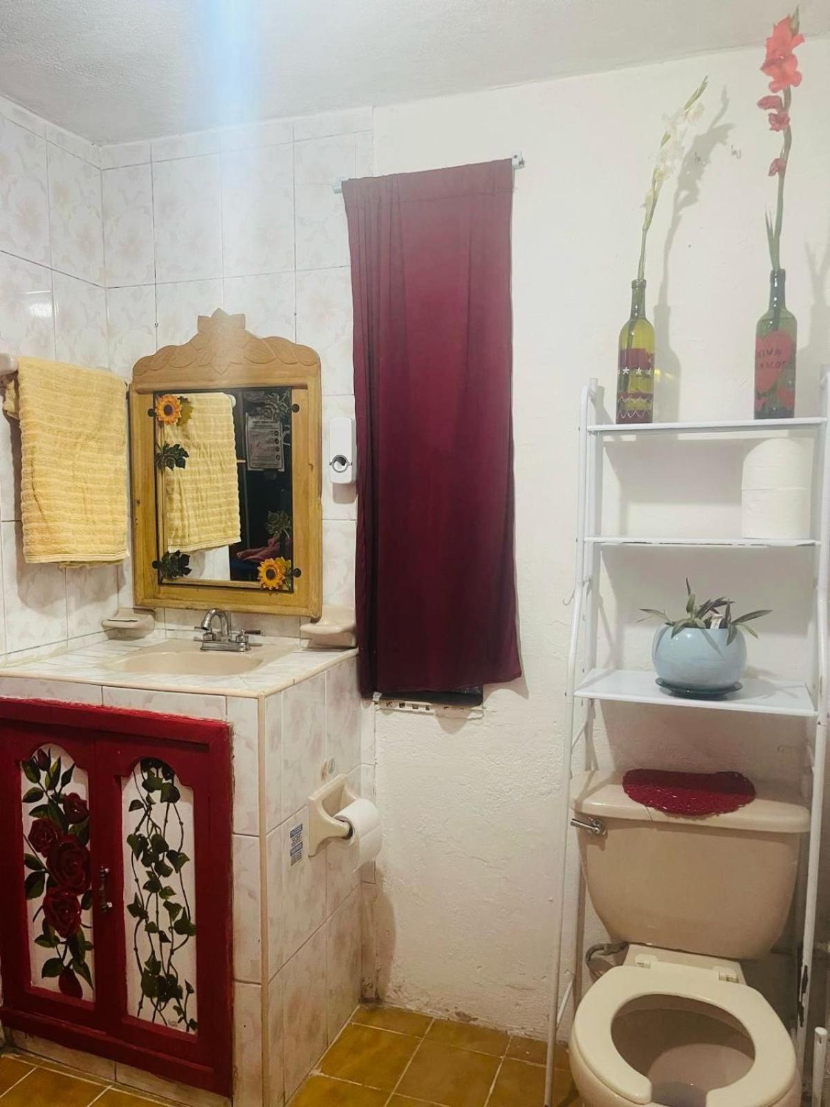 Home Sweet Home 瓜纳华托 外观 照片